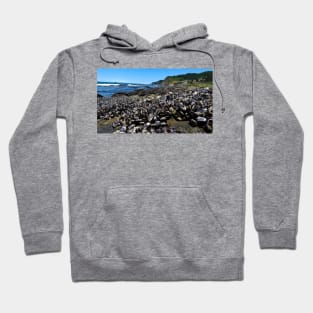 Otter Crest Beach Oregon Hoodie